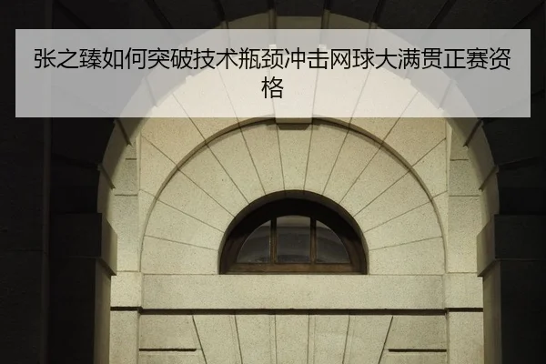 张之臻如何突破技术瓶颈冲击网球大满贯正赛资格